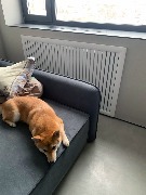 Рамка на батарею из реек МДФ