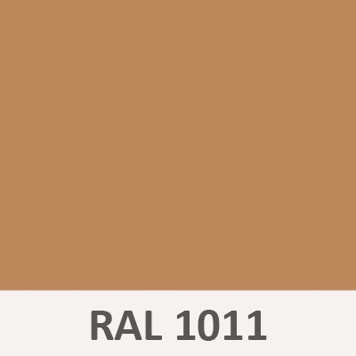1011.jpg
